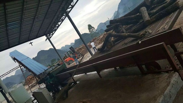 小蝌蚪视频APP下载大全